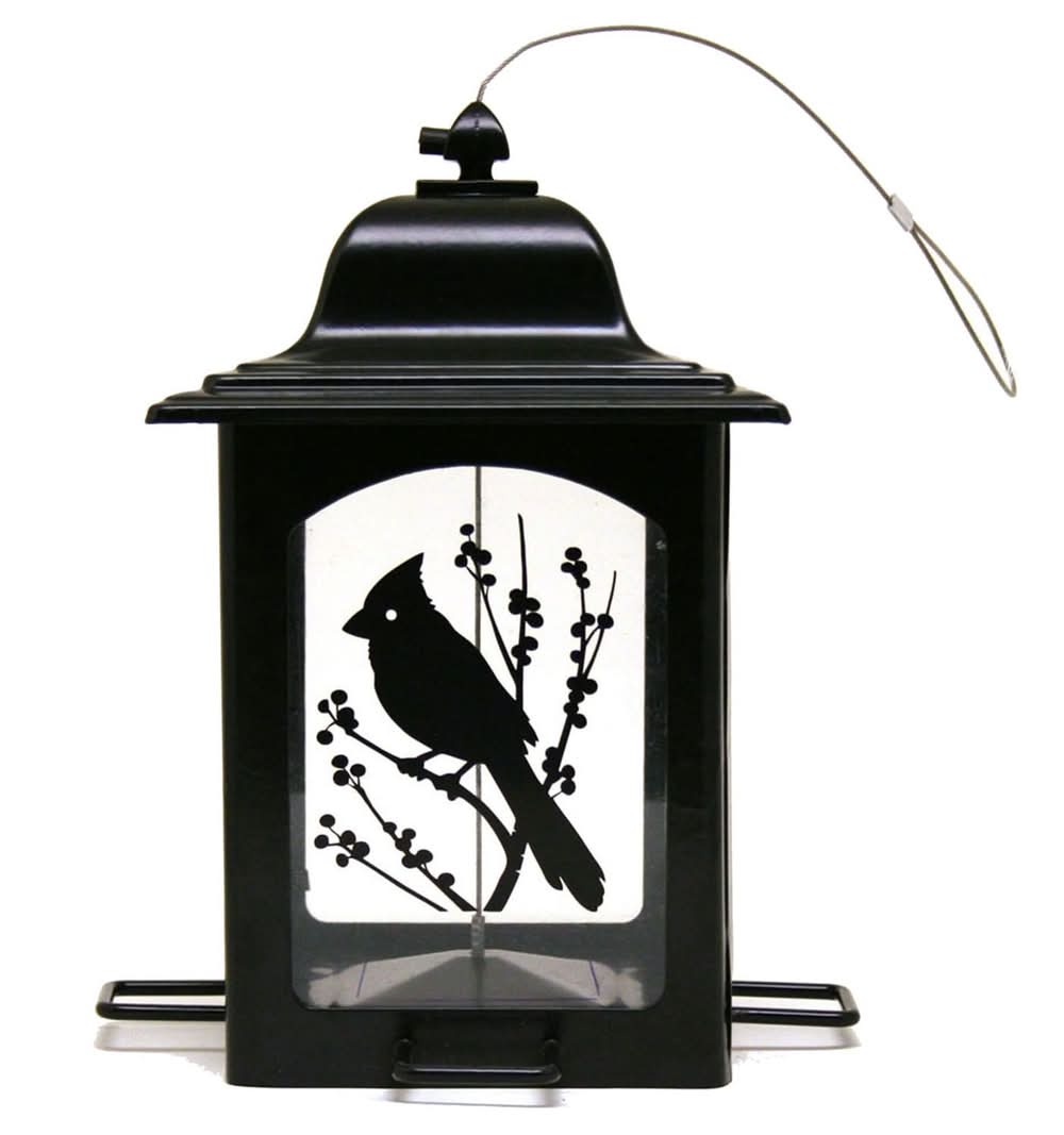 Perky-Pet Birds & Berries Lantern Wild Bird Feeder, 3.5 lb