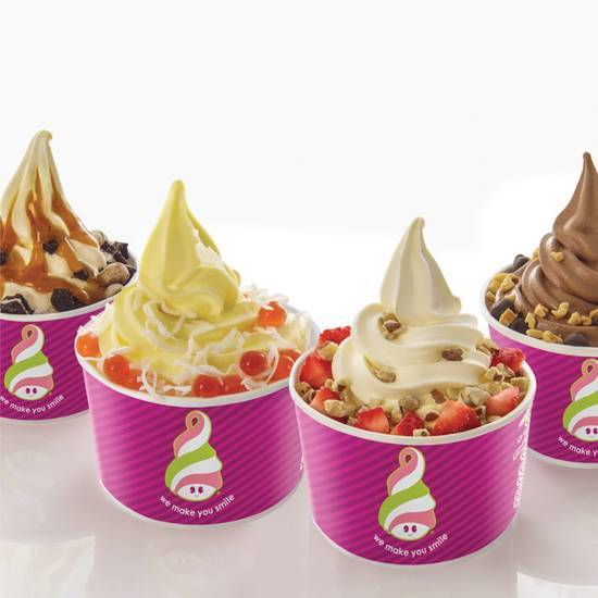 Family Frozen Yogurt Pack