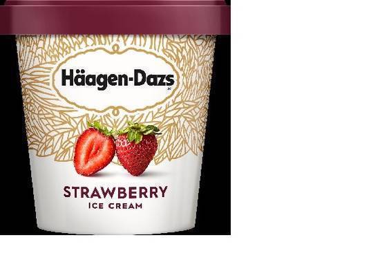 Hand Packed Pint Ice Cream
