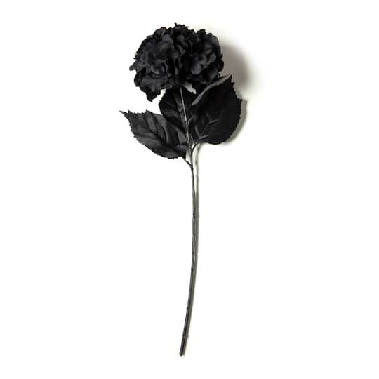 Black Hydrangea Stem By Ashland