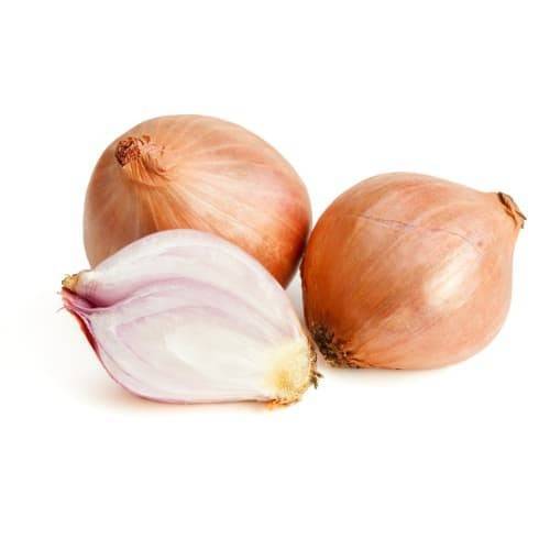 Fresh Shallots