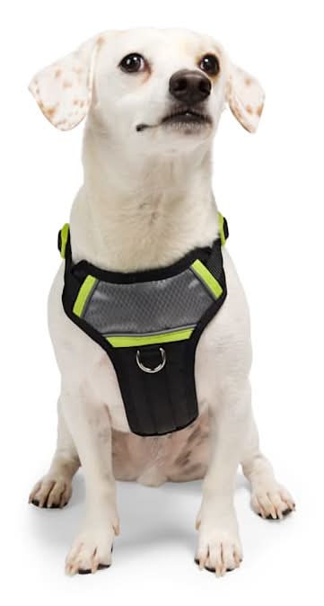 Youly Adventure Reflective Dog Harness, Black, Medium