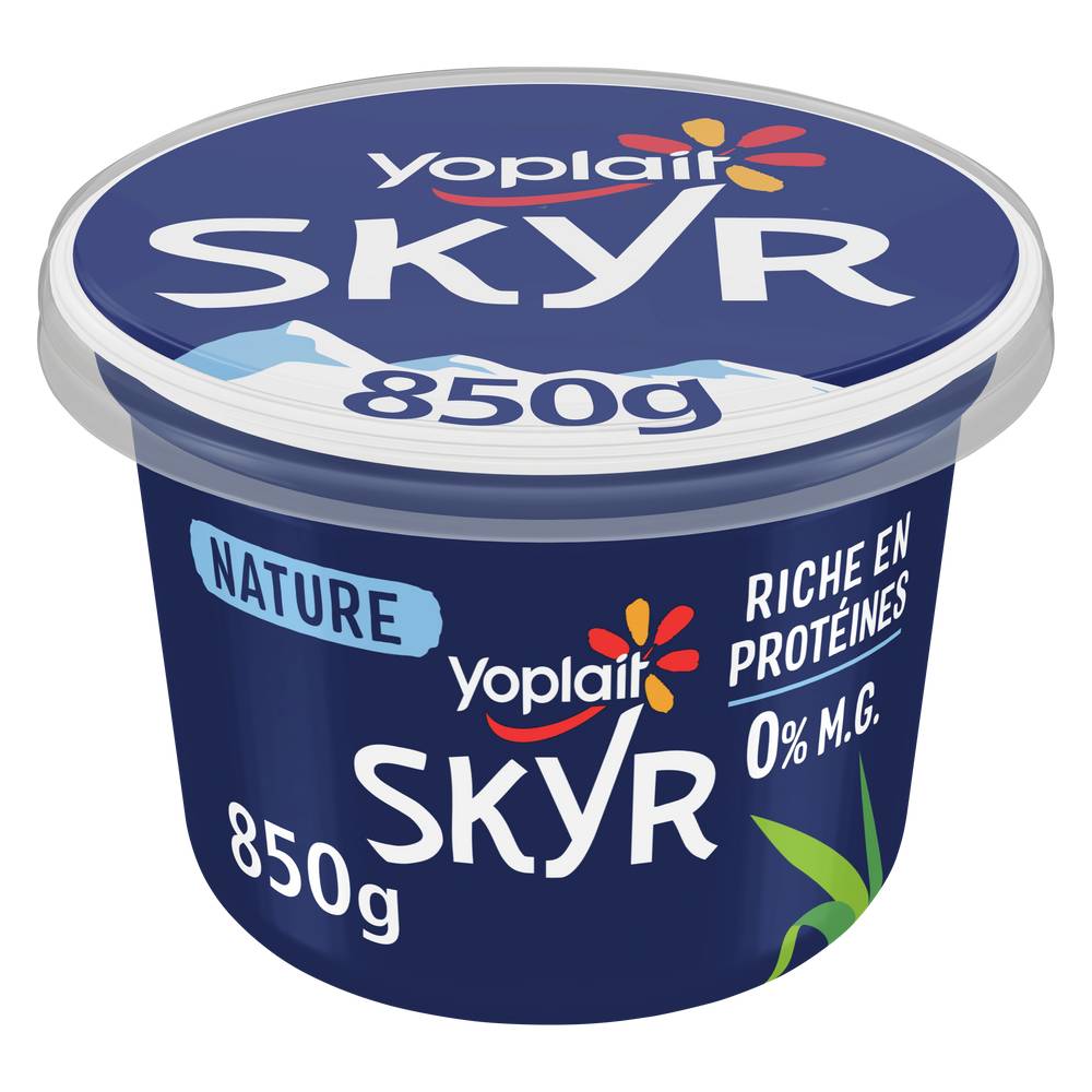 Yoplait - Skyr recette au yaourt nature 0% mg (850g)