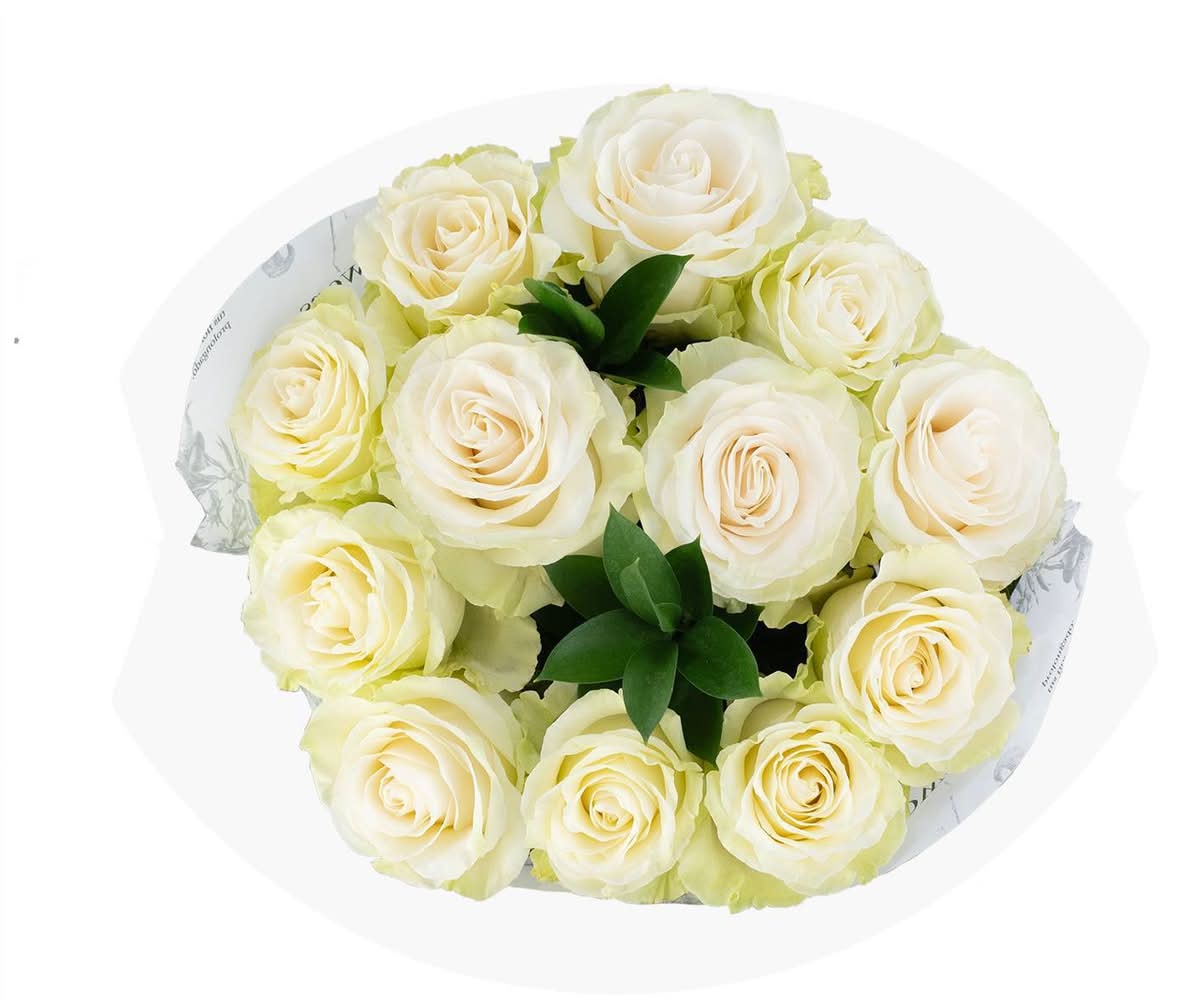 Good Little Garden Fresh Cut Vibrant White Roses Bouquet (12 ct)
