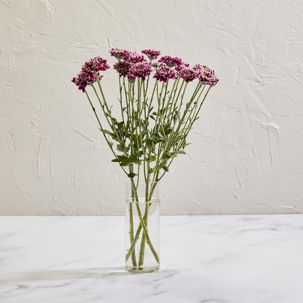 Chrysanthemum Bunch