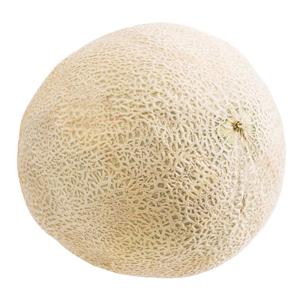Cantaloup / Cantaloupe