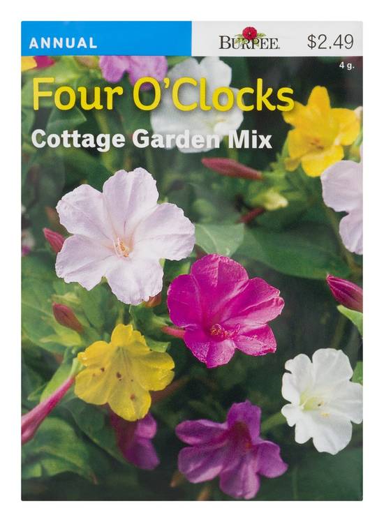 Burpee Annual Four O'clocks Cottage Garden Mix (0.14 oz)