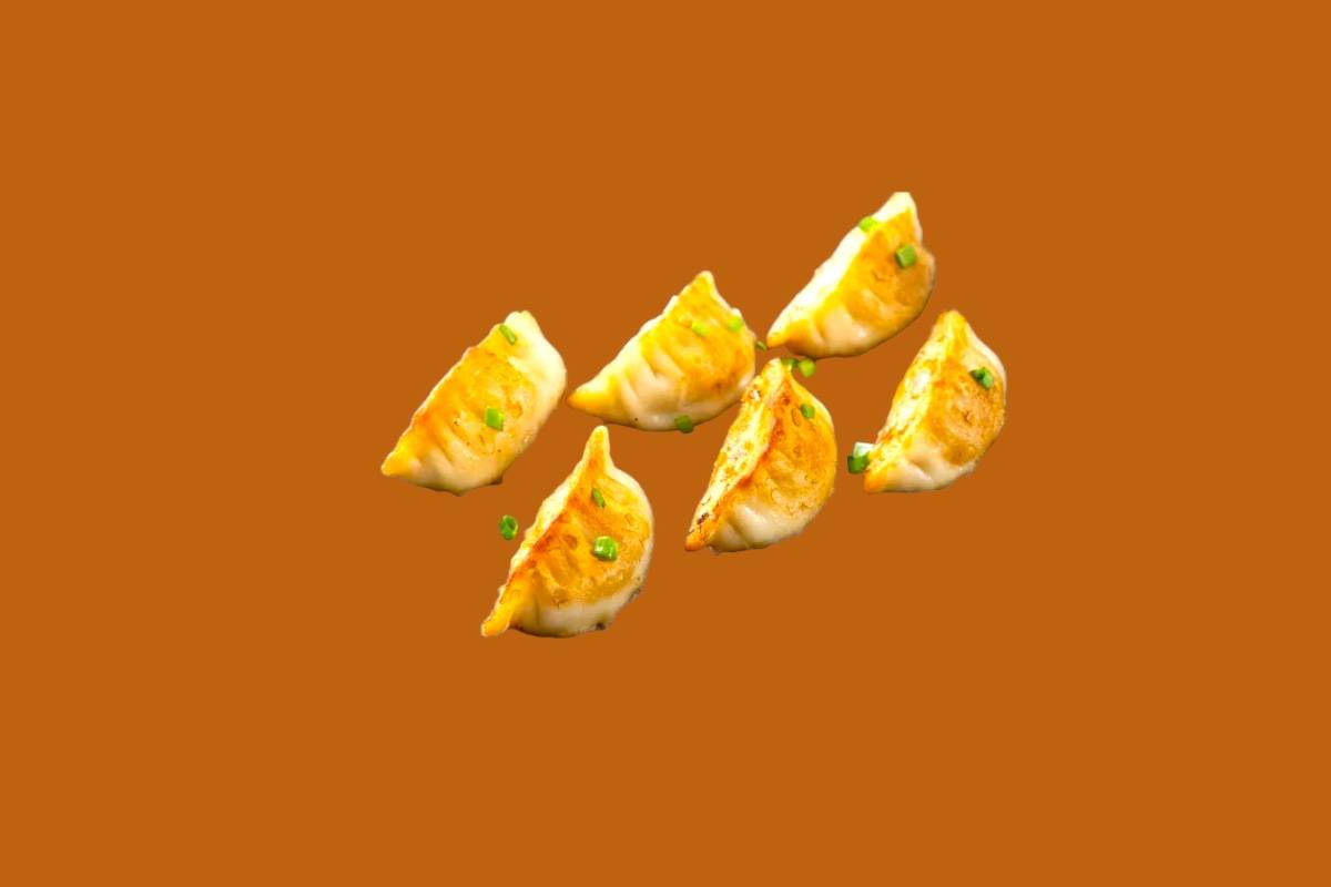 Gyozas au Poulet