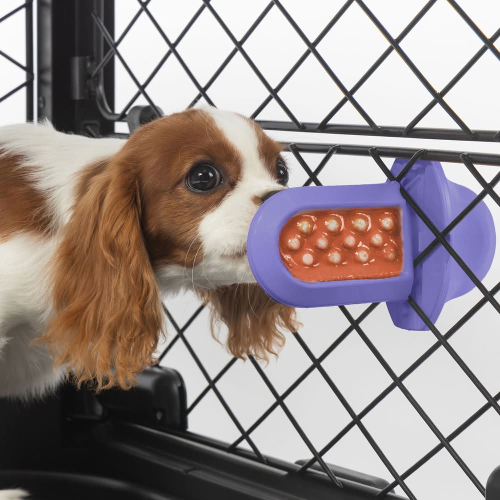 Diggs Groov Crate Training Aid for Dogs, Crate Accessory (Color: Purple)