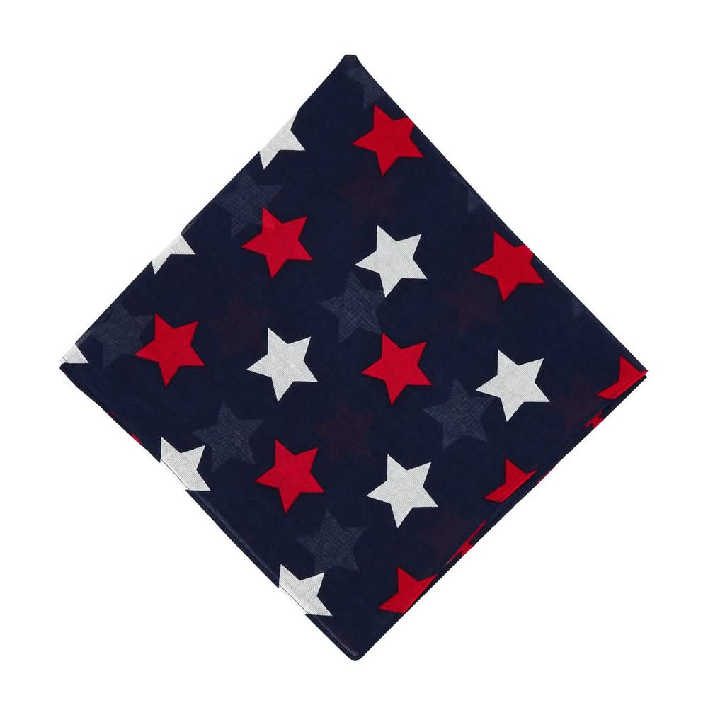 Patriotic Printed Bandana 4 Assorted Designs