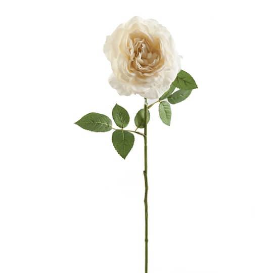 White Sophia Rose Stem By Ashland