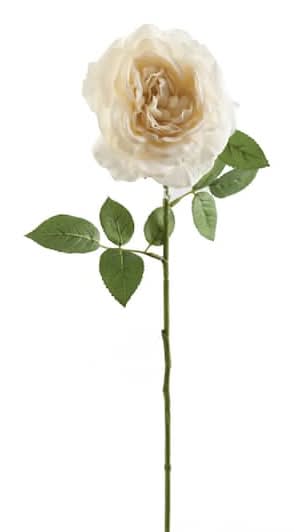 Ashland Sophia Rose Stem, White