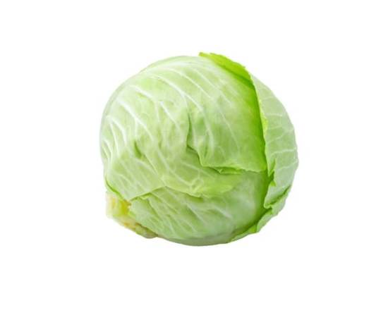 Green Cabbage (1 ct)