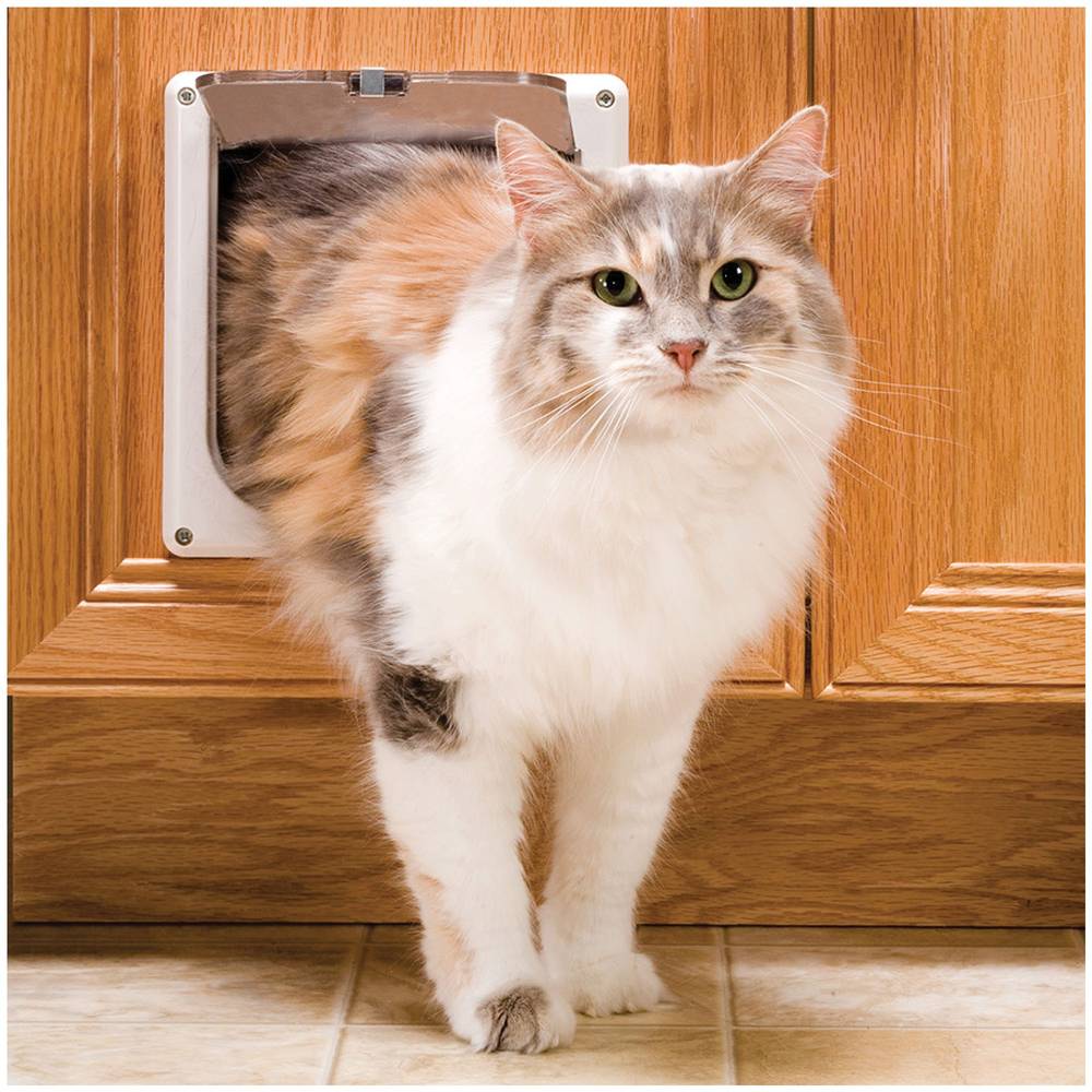 PetSafe® Cat Flap: 2-Way Locking - Built-In Lock - Durable - Easy Install - Hardware Kit Included (Color: Assorted, Size: Small)