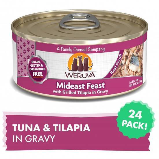 Weruva Mideast Feast With Grilled Tilapia Canned Cat Food (3 oz)