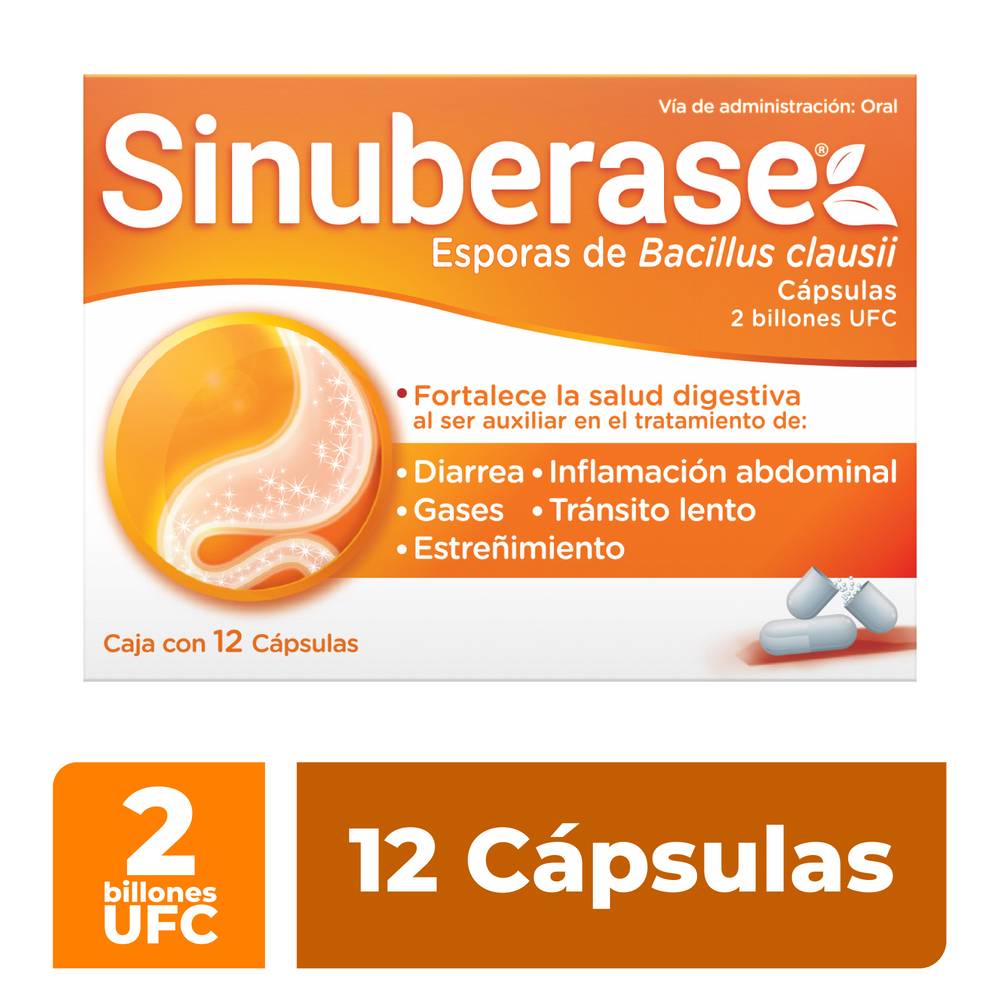 Sinuberase · Esporas de bacillus clausii cápsulas (12 un)