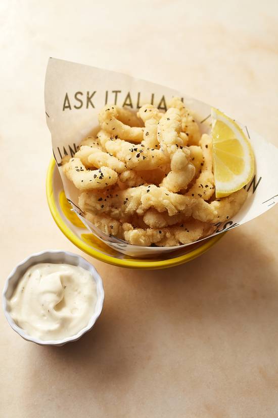 Small Calamari