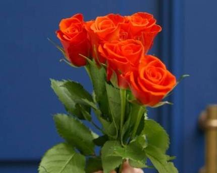 BOTTE DE 5 ROSES - ORANGE