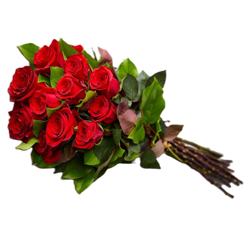 Premium Long Stem Roses (Color Selection Varies)