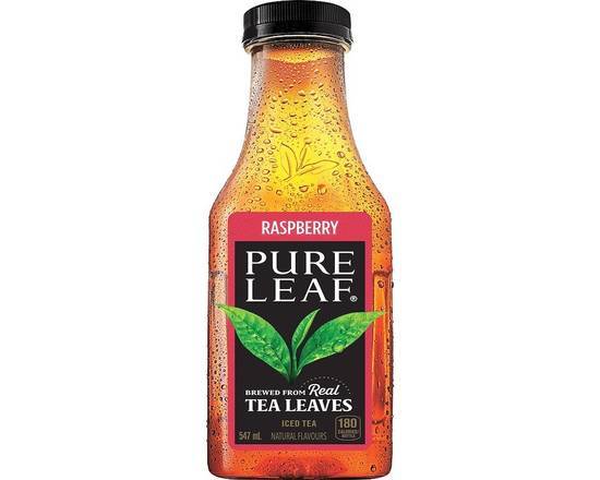 Pure Leaf Iced Tea Raspberry 547 ml