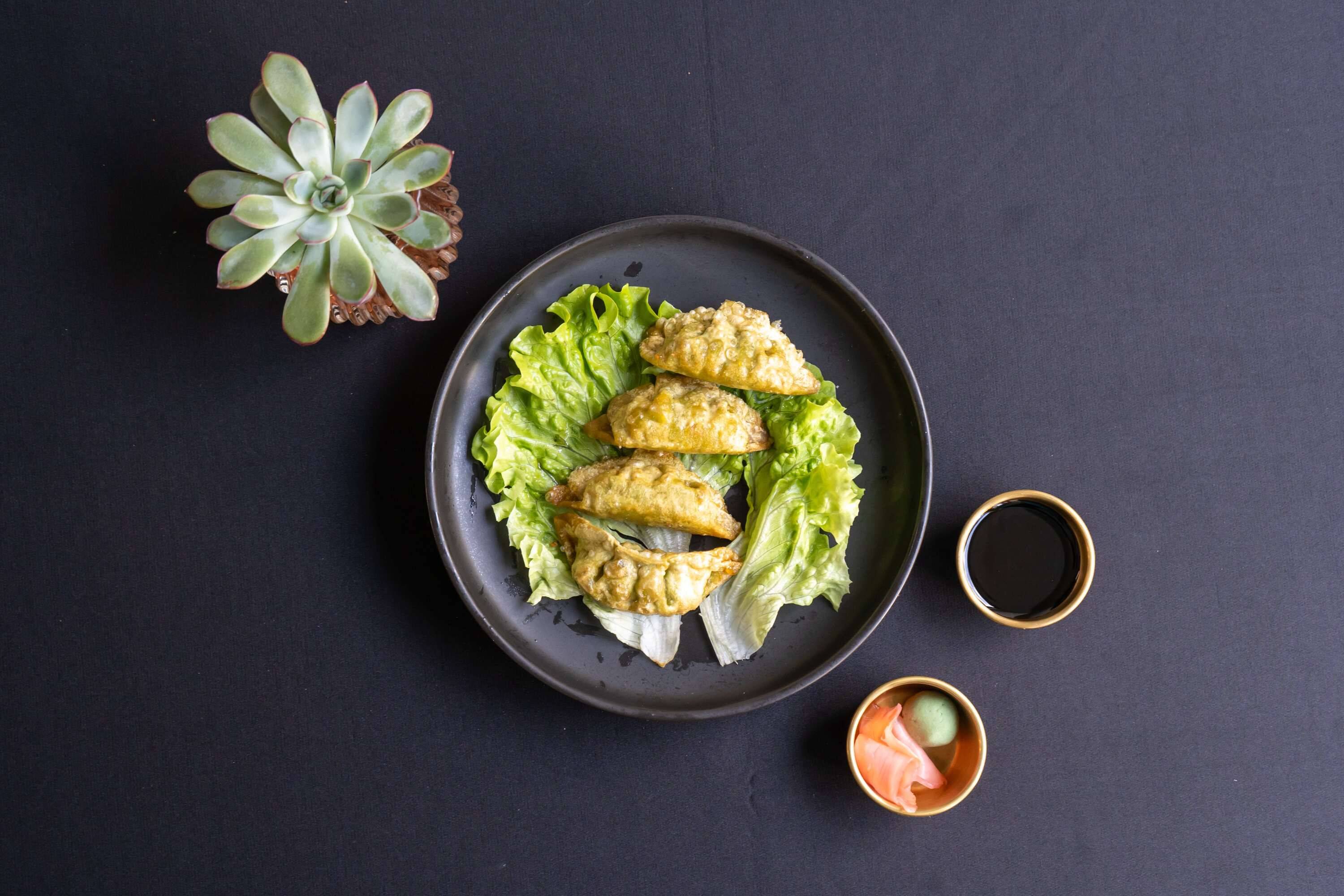 Gyozas Légumes