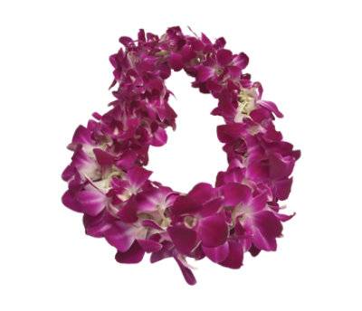 Orchid Lei Dendrobium Single - Each