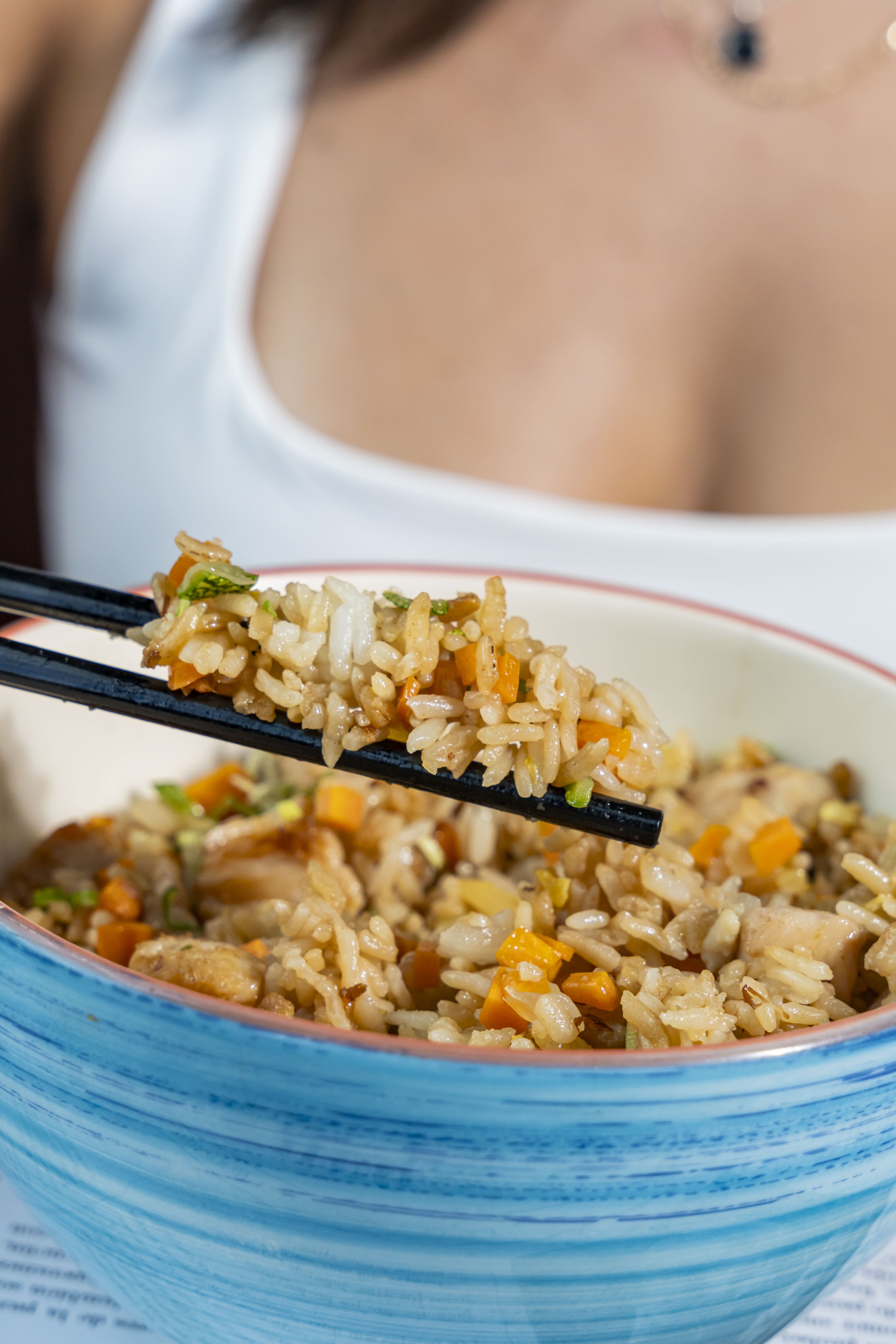 Yakimeshi Vegetales