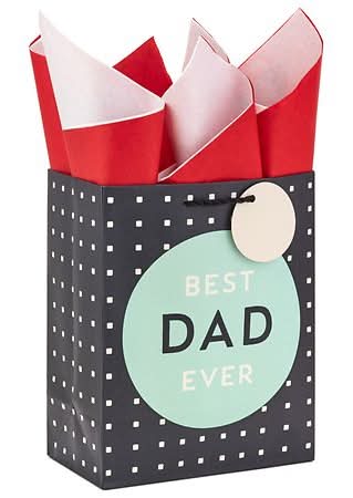 Hallmark Father's Day Gift Bag With Tissue Paper (Best Dad Ever) Medium - 1.0 ea