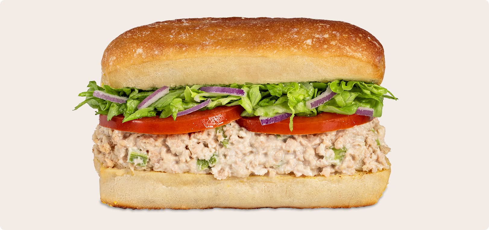 Tuna Subwich