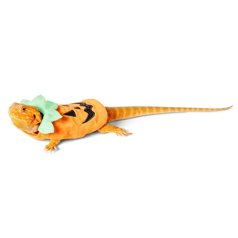 Thrills & Chills Pumpkin Reptile Costume (Size: Small)