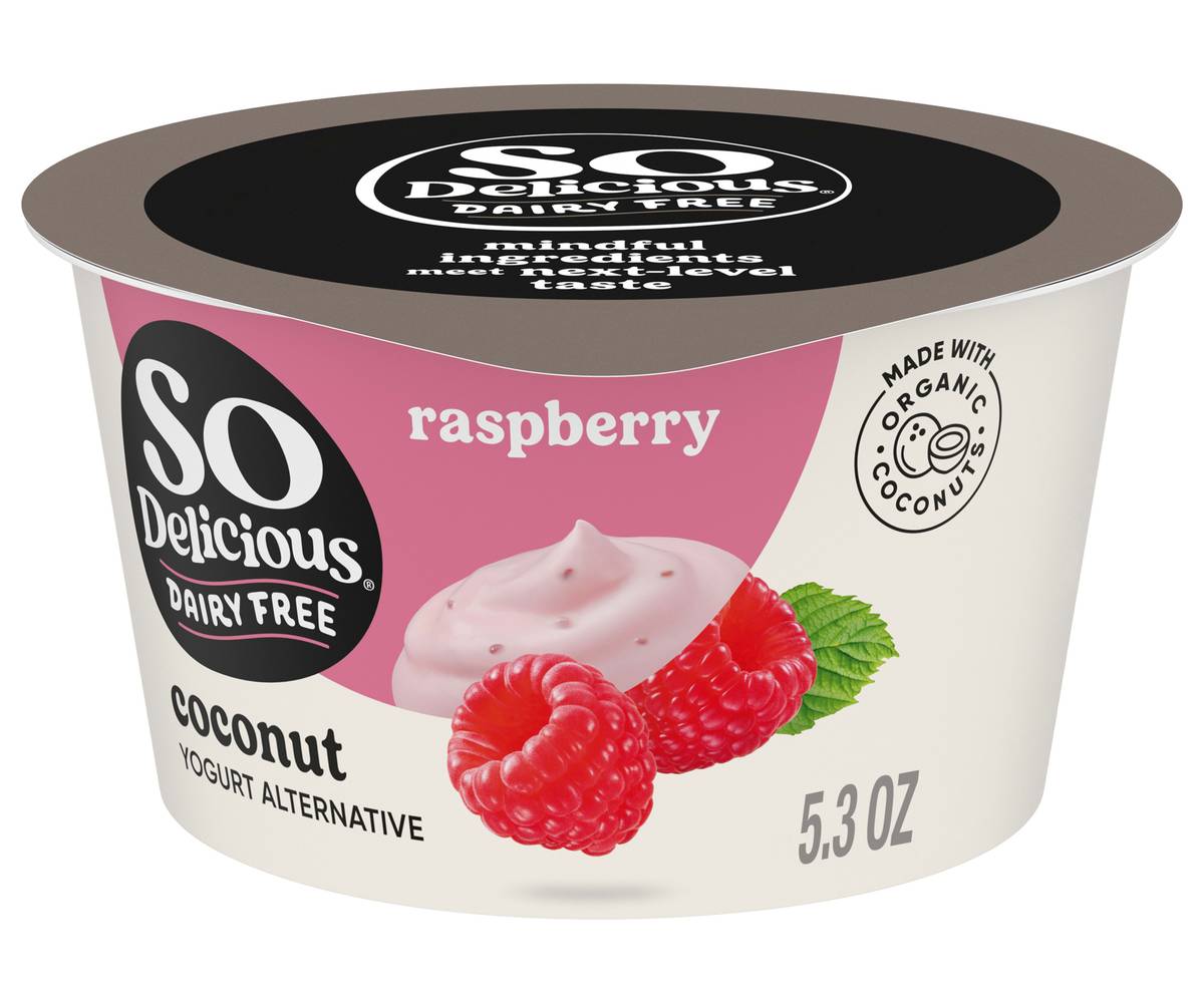 So Delicious Coconutmilk Yogurt Alternative, Raspberry (5.3 oz)