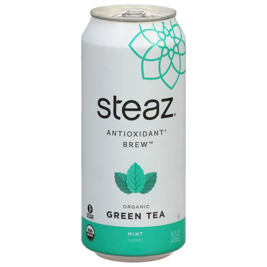 Steaz Organic Antioxidant Brew Mint Flavored Green Tea (16 fl oz)