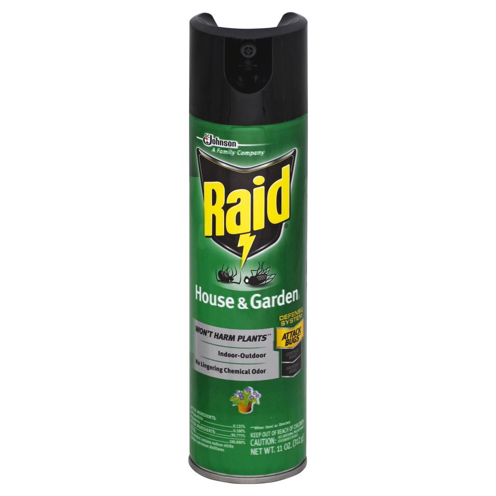 Raid House & Garden Insect Killer Insecticide Aerosol Spray (11 oz)