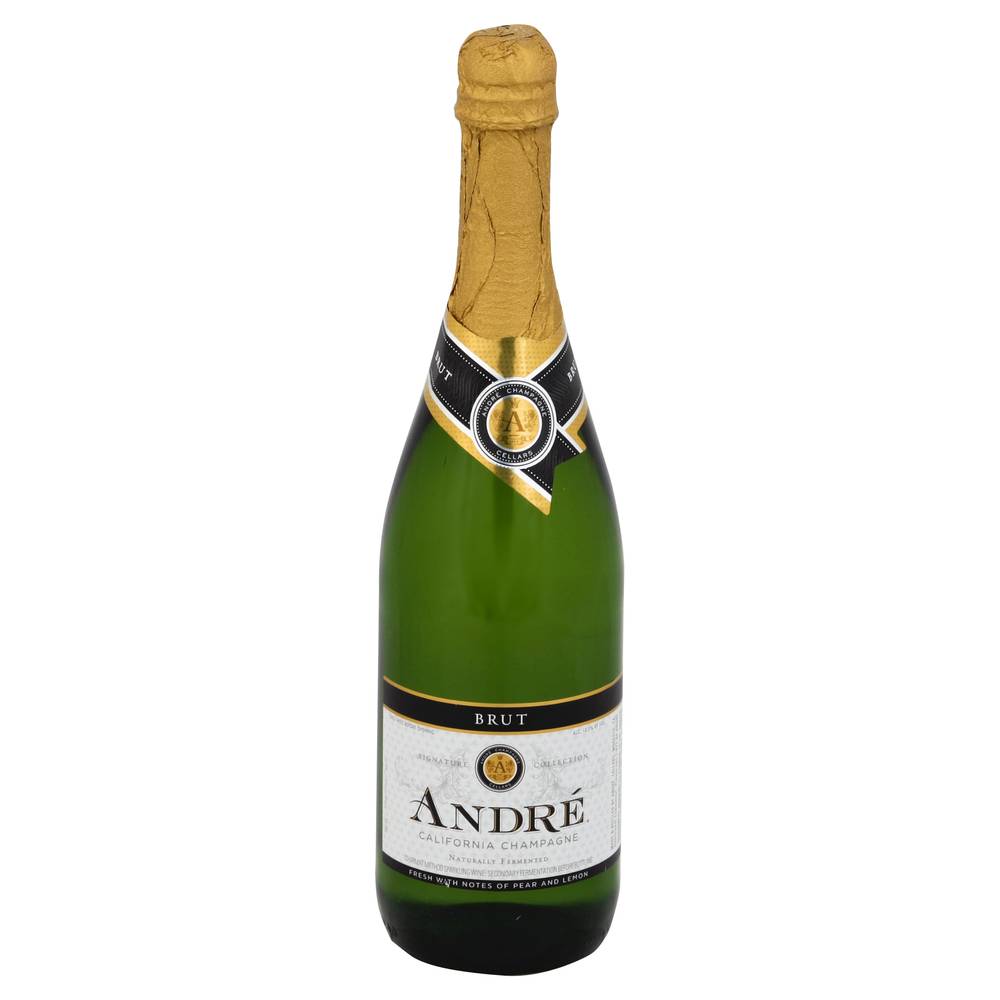Andre Brut California Champagne Sparkling Wine (750 ml)