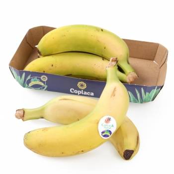 Plátano de Canarias bandeja 600 g
