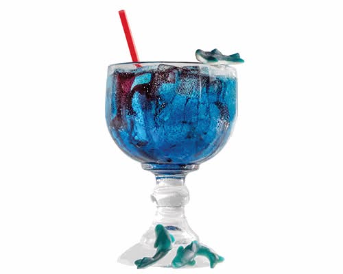Shark in the Water