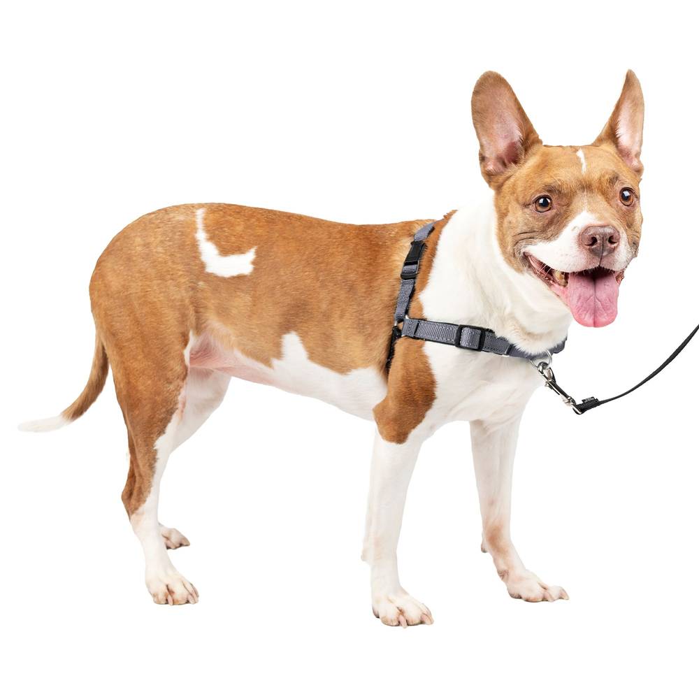 PetSafe® Easy Walk Deluxe Dog Harness - No Pull Dog Harness - Steel (Color: Grey, Size: Medium)