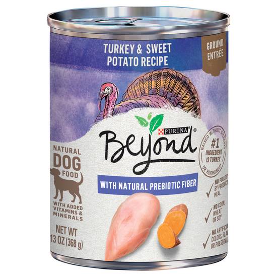 Beyond Wet Dog Food Ground Trky/Pota (13 oz)
