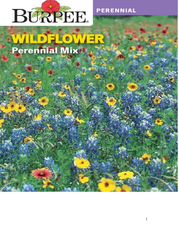 Burpee Per  Wildflower Perennial Mix
