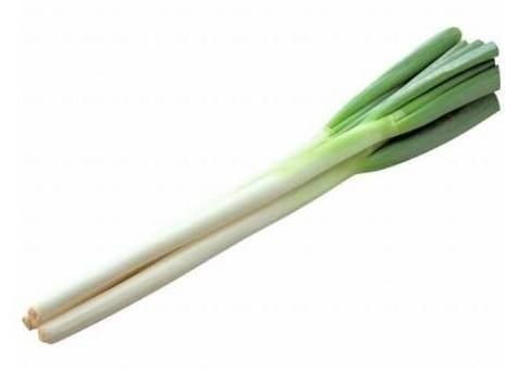 長ねぎ（バラ）(1本)