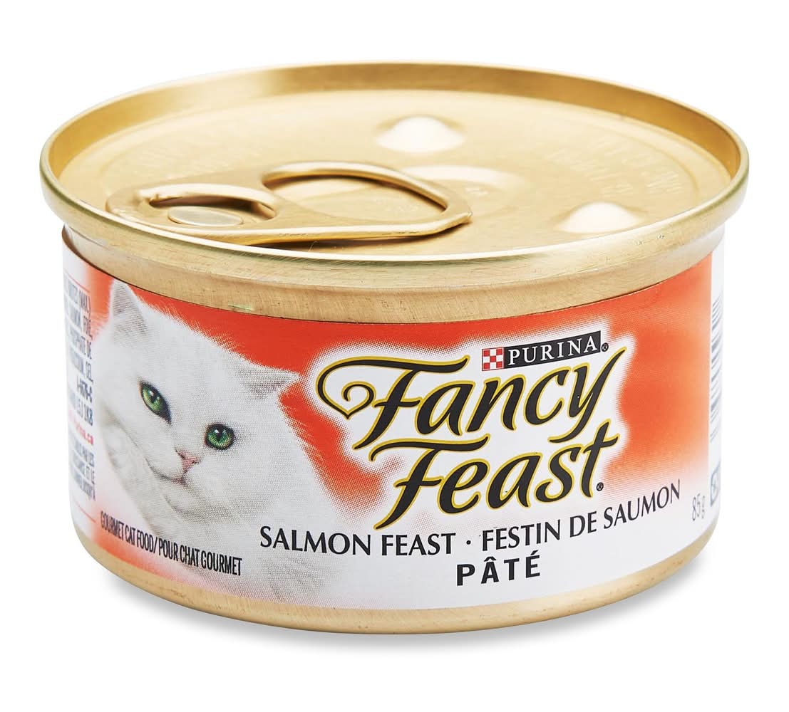 Purina Fancy Feast Salmon Pate Wet Food (85 g)