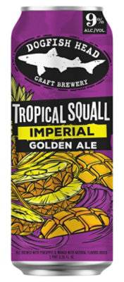 Dogfish Head Tropical Squall - 19.2 Fz