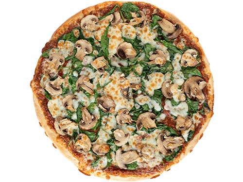 Fresh Mommas Favorite-Medium