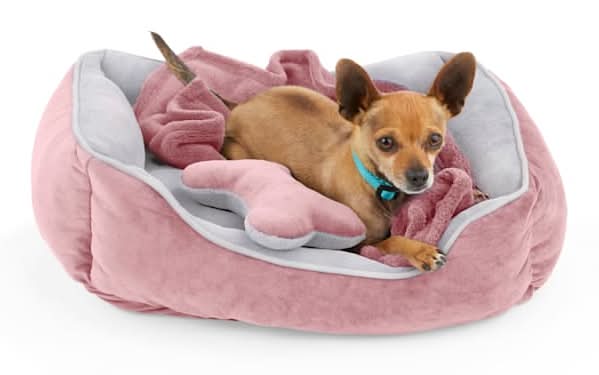EveryYay Essentials Dog Bed Bundle Set, S, Pink (3 ct)