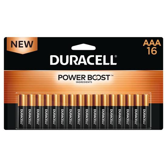 Duracell Coppertop Aaa Alkaline Batteries (16 ct)