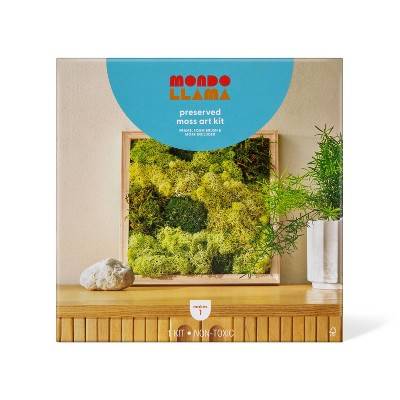 Preserved Moss Art Wood Craft Kit - Mondo Llama™