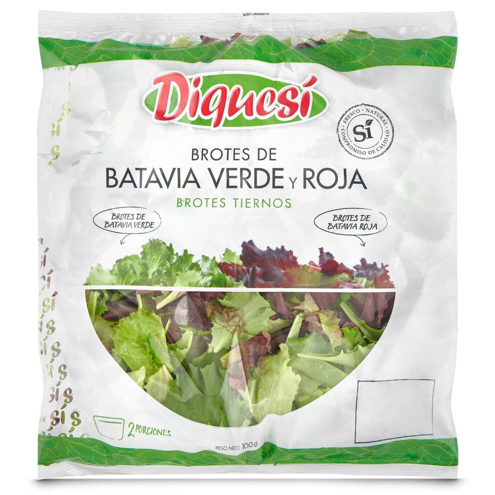 Brotes De Batavia Verde Y Roja Diquesí Bolsa 100 G