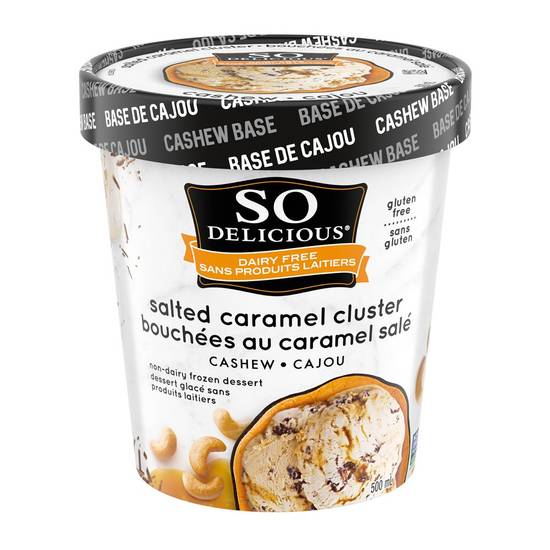 So Delicious Salted Caramel Cluster Cashew Ice Cream (500 ml)