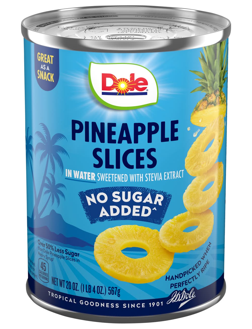 Dole No Sugar Added Pineapple Slices in Water (20 oz)