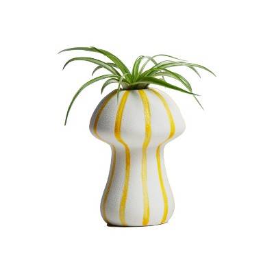 Live Tillandsia Plant in Shroomies Planter, Yellow